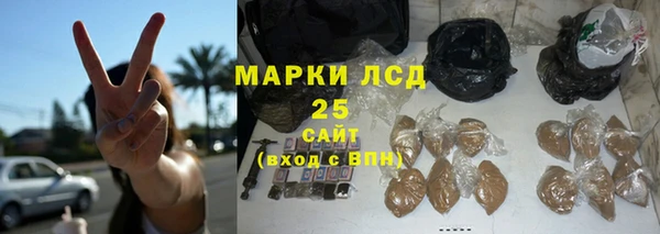 ПСИЛОЦИБИНОВЫЕ ГРИБЫ Дмитров