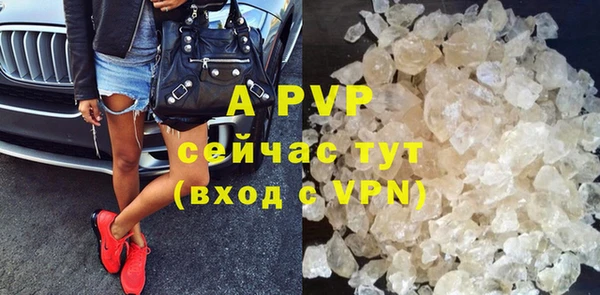 ПСИЛОЦИБИНОВЫЕ ГРИБЫ Дмитров