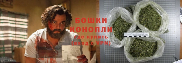 ПСИЛОЦИБИНОВЫЕ ГРИБЫ Дмитров