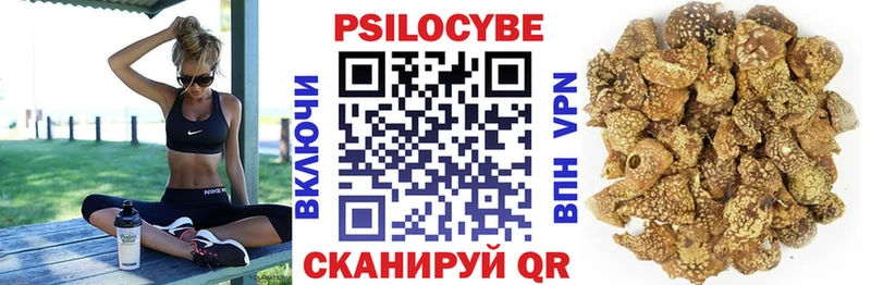 наркотики  ссылка на мегу ТОР  Галлюциногенные грибы ЛСД  Исилькуль 